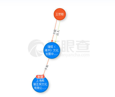 起底王思聰投資神話 吹出來的泡沫？