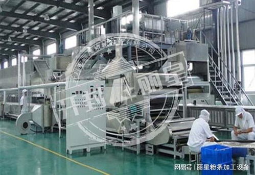 機(jī)械化加工粉條的優(yōu)勢(shì)、常見問題及解決方案全解析